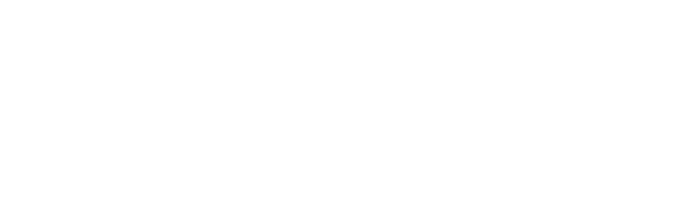 NALYSYS